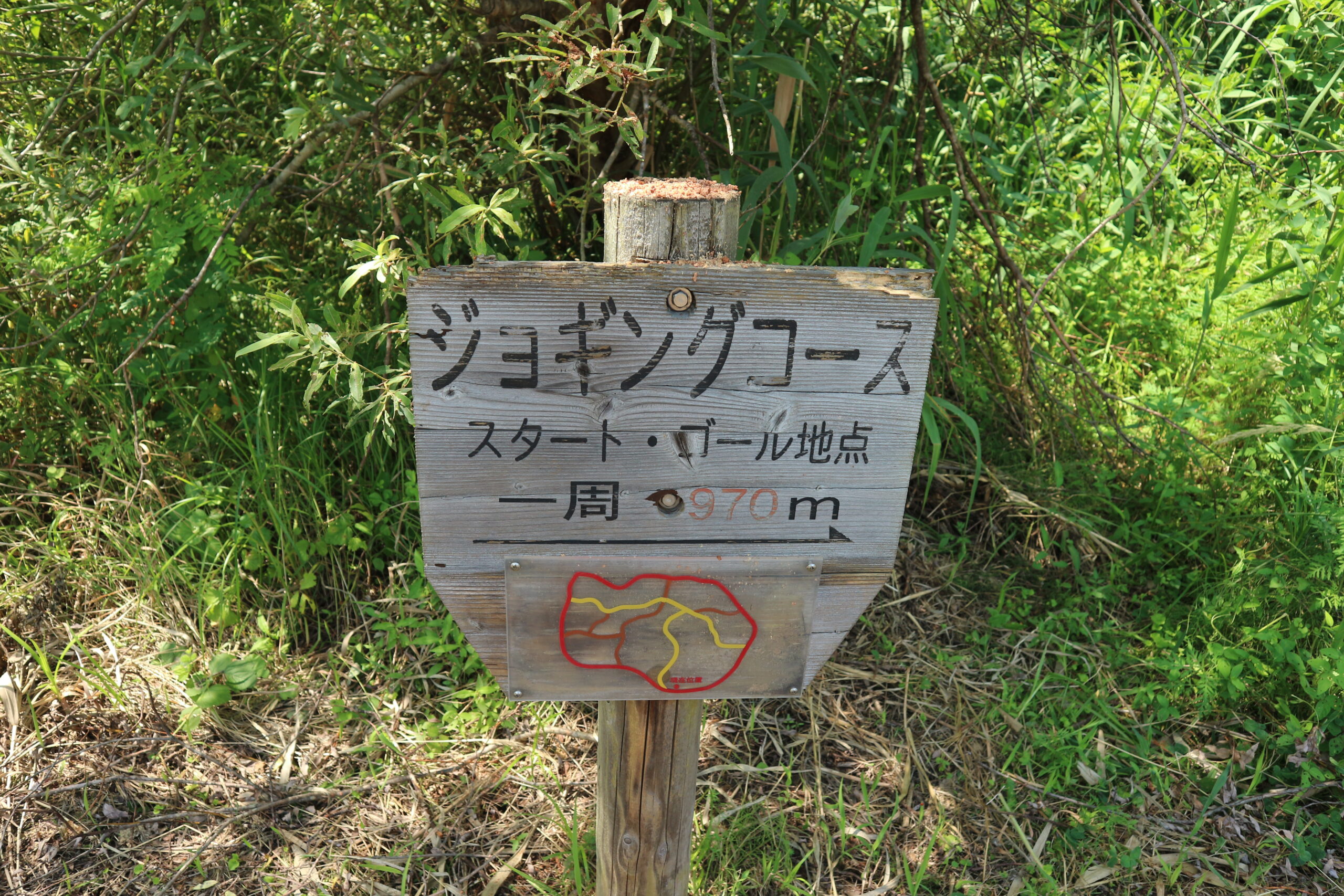 埋没林広場案内板