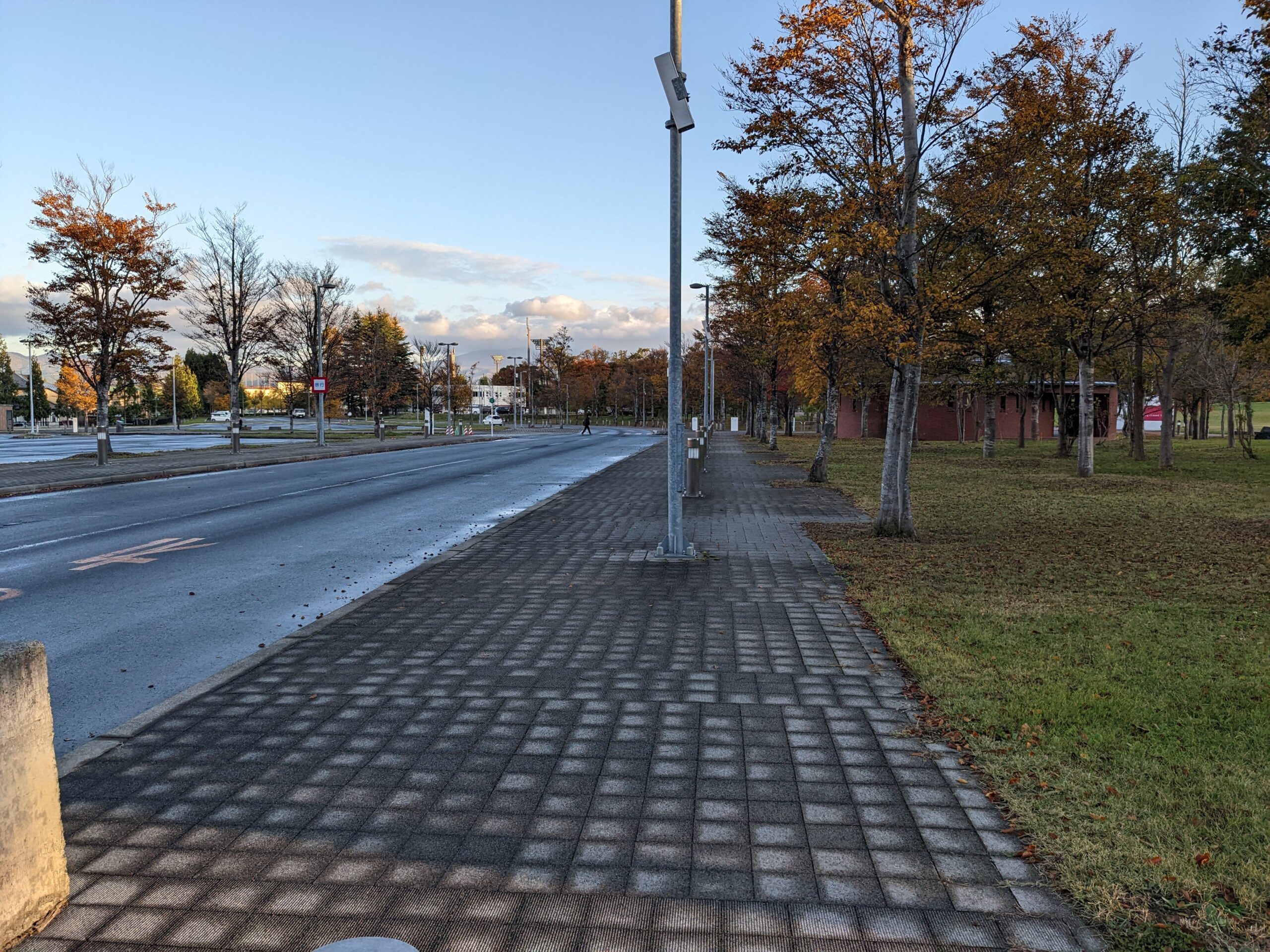 公園横断道路