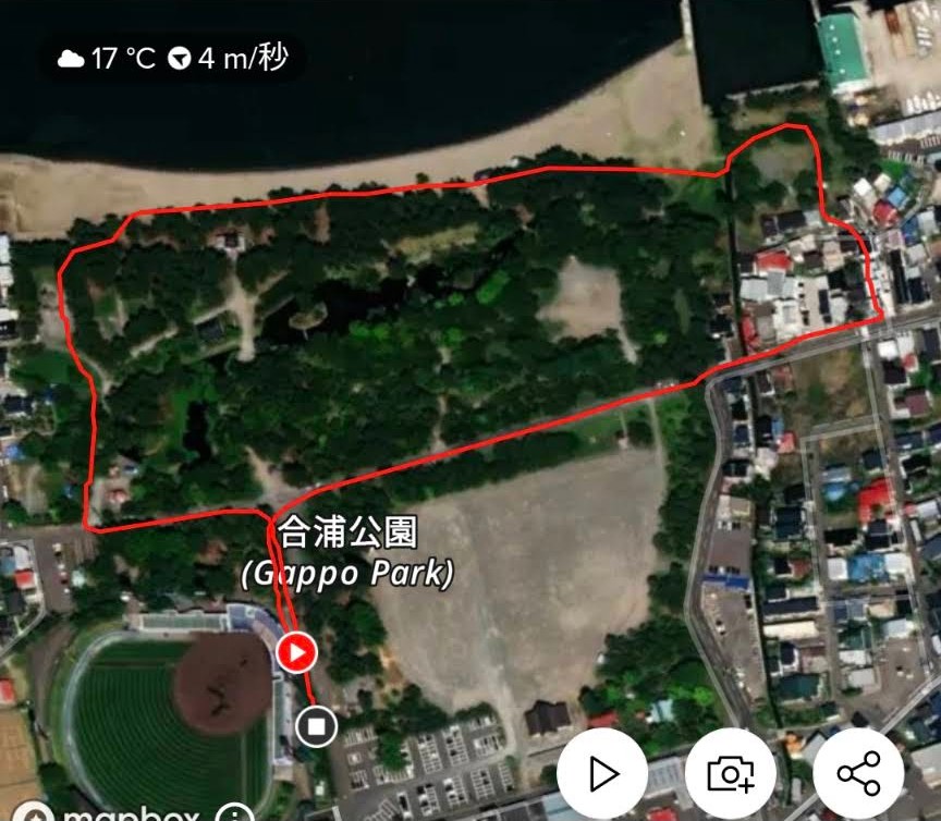 海水浴場コース
