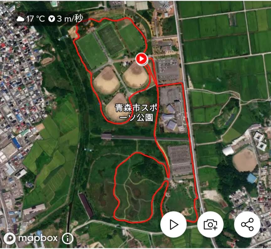 スポーツ広場、埋没林、わくわく広場