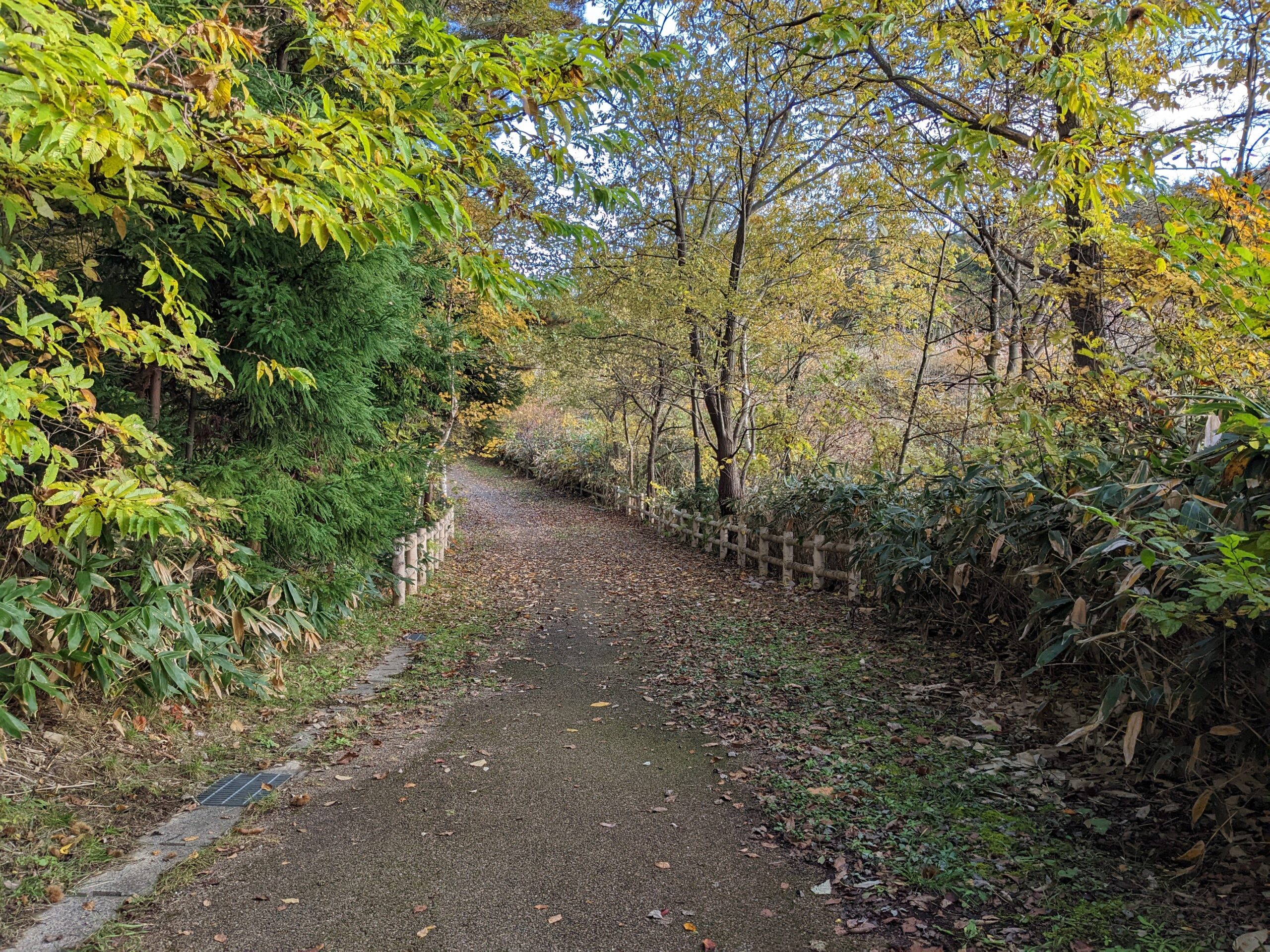林間散策園